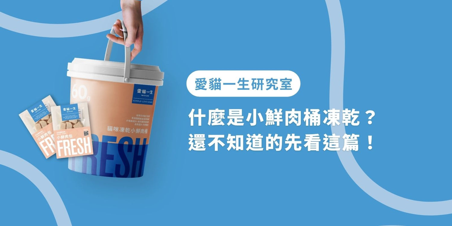 什麼是小鮮肉桶凍乾?還不知道的先看這篇!