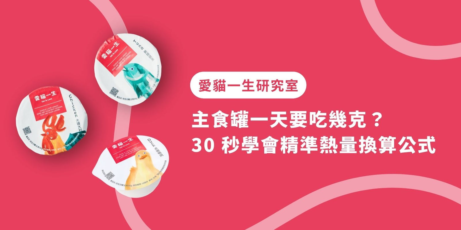 主食罐一天到底要吃幾克?30 秒學會精準熱量換算公式