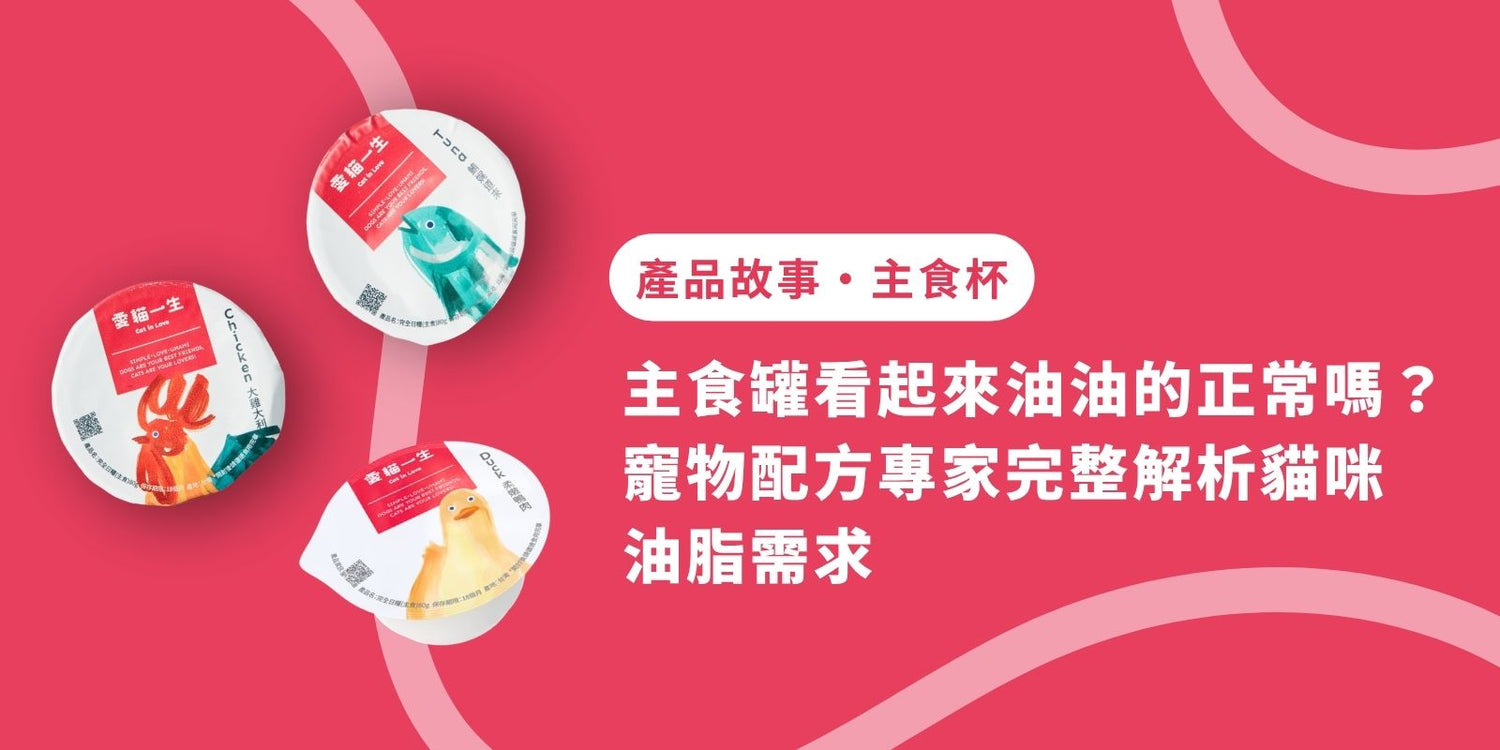 主食罐看起來油油的正常嗎?寵物配方專家完整解析貓咪油脂需求