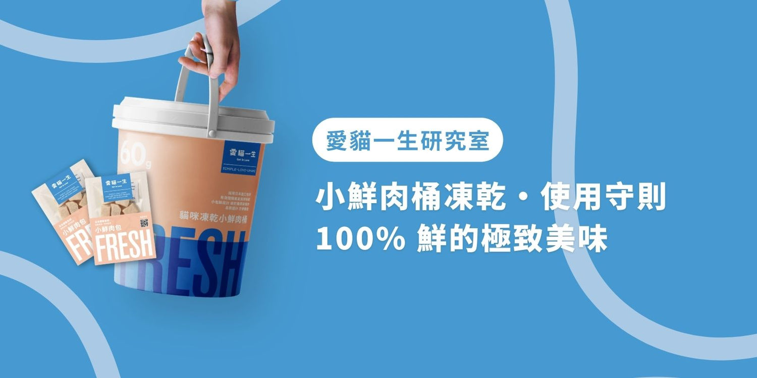 愛貓一生小鮮肉桶使用守則:100% 鮮的極致美味