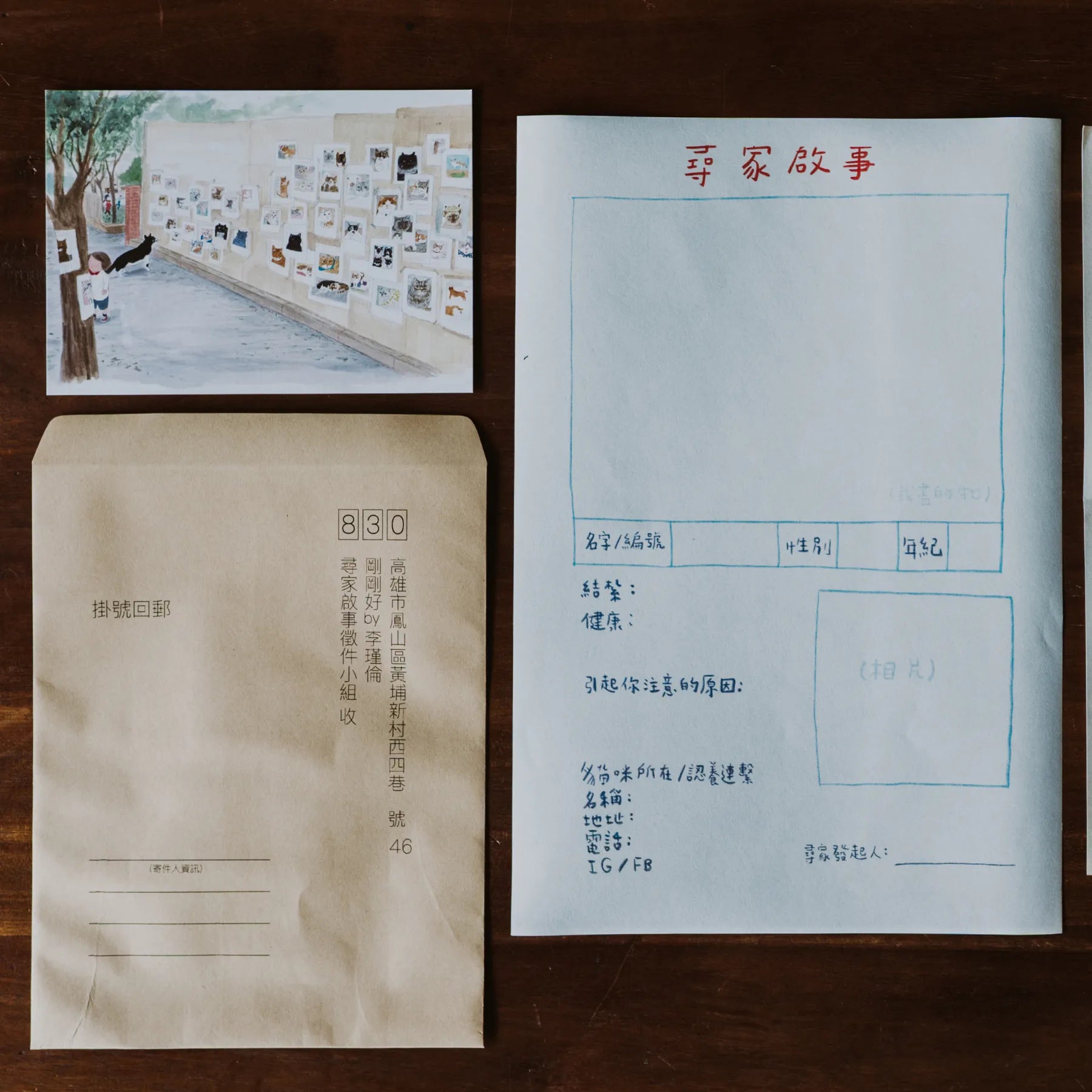 李瑾倫|呼喚我的貓尋家禮盒