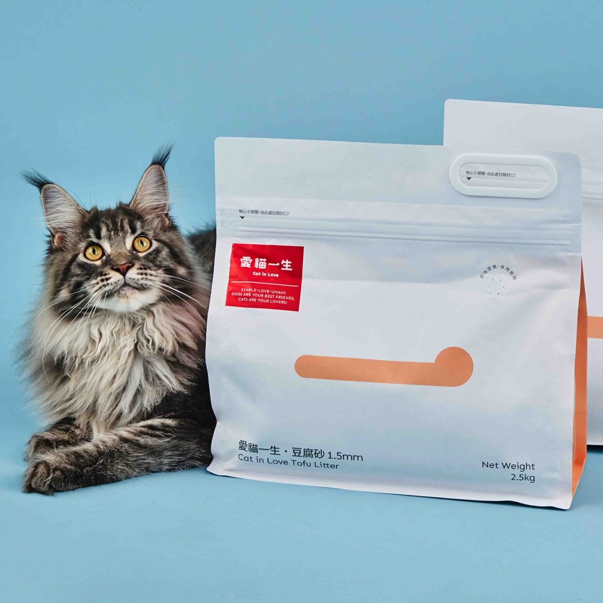 愛貓一生|豆腐砂組合 - catinlove.com