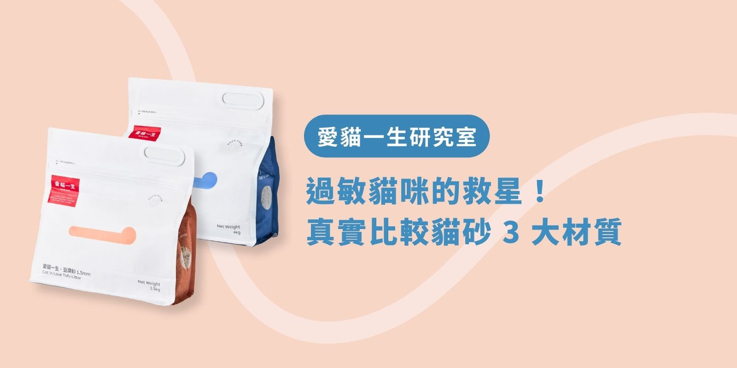 過敏貓咪的救星！真實比較貓砂 3 大材質，終結噴嚏與咳嗽