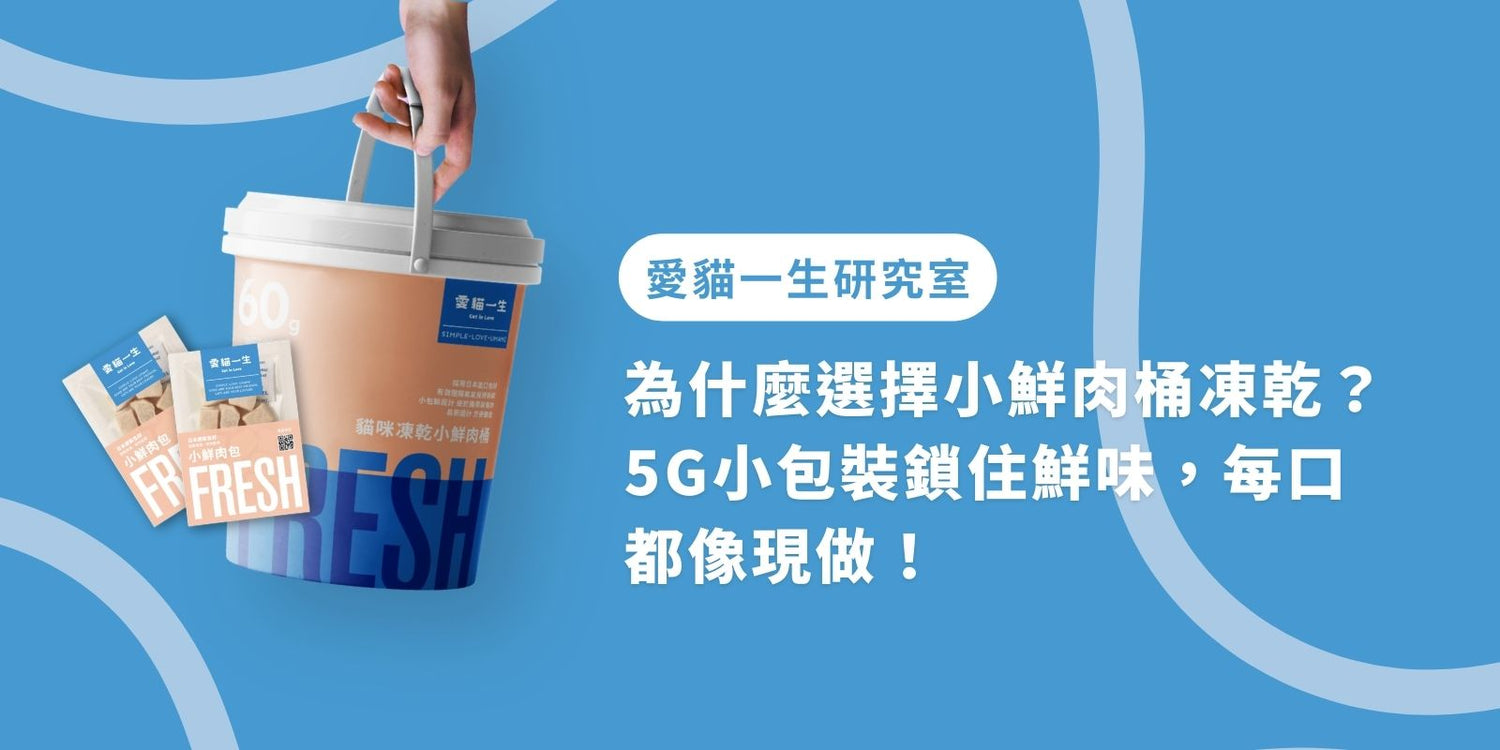 為什麼選擇小鮮肉桶凍乾？5g 小包裝鎖鮮，每口都像現做！