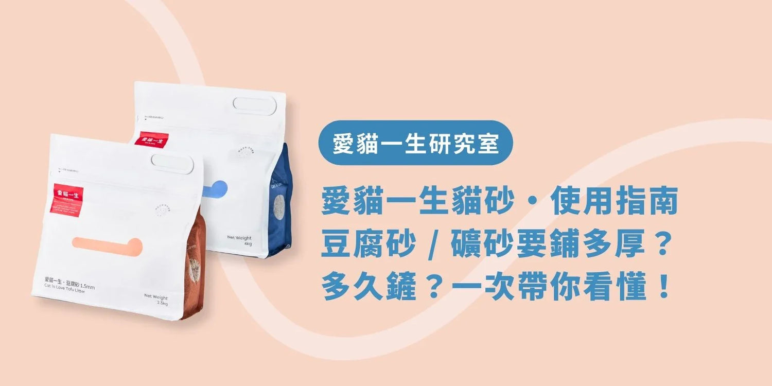 【愛貓一生貓砂・使用指南】豆腐砂/礦砂鋪厚、勤鏟、防潮一次看懂