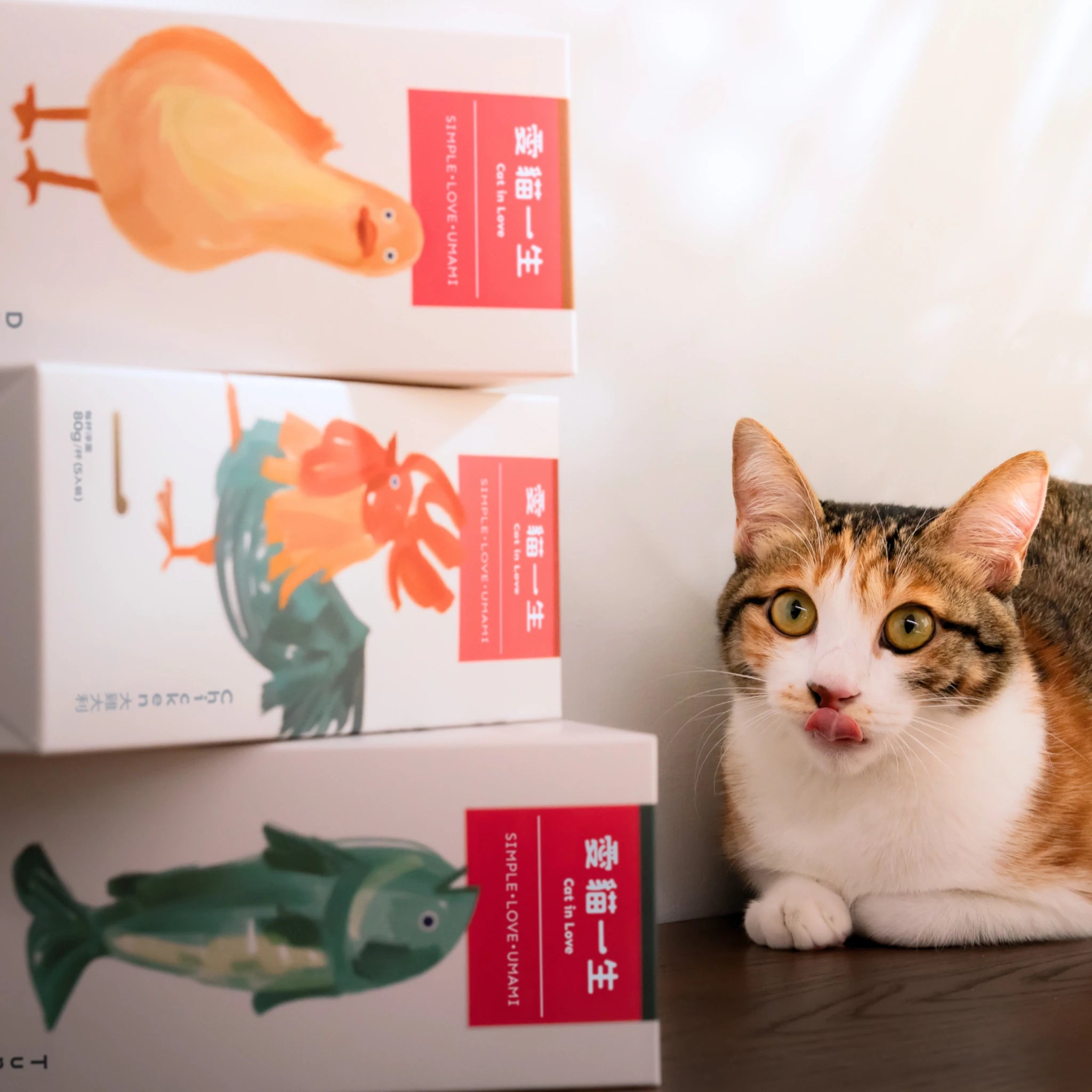 愛貓一生｜天然食材主食杯・輕鬆組（3 盒 15 杯）