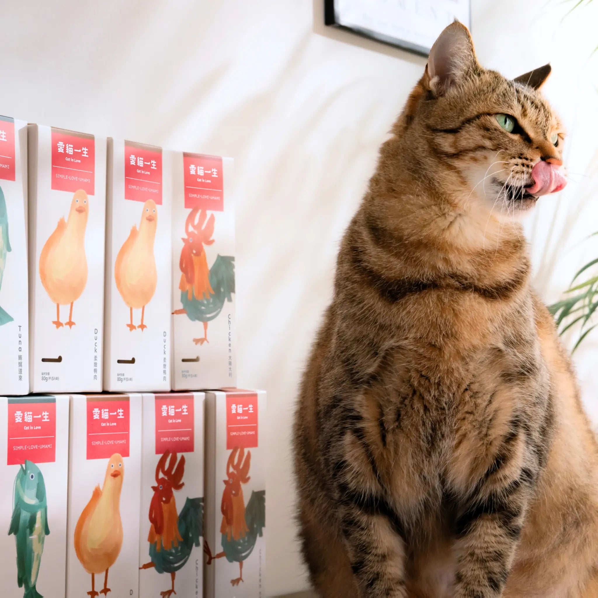 愛貓一生｜天然食材主食杯・老饕組（9 盒 45 杯）