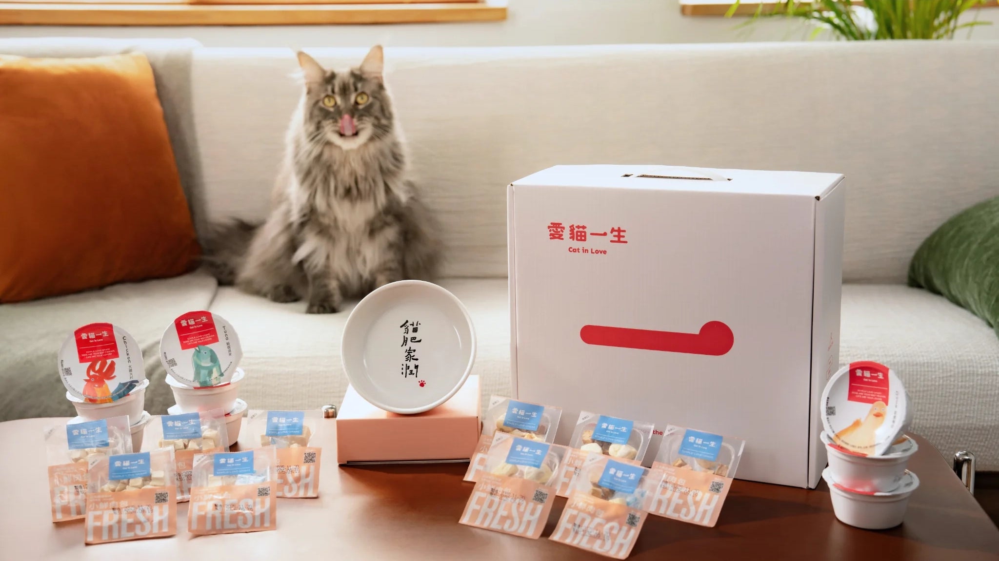 愛貓一生｜貓肥家潤・限量上市紀念禮盒（含聯名愛貓碗、主食杯及凍乾，送$100貓砂折扣碼）