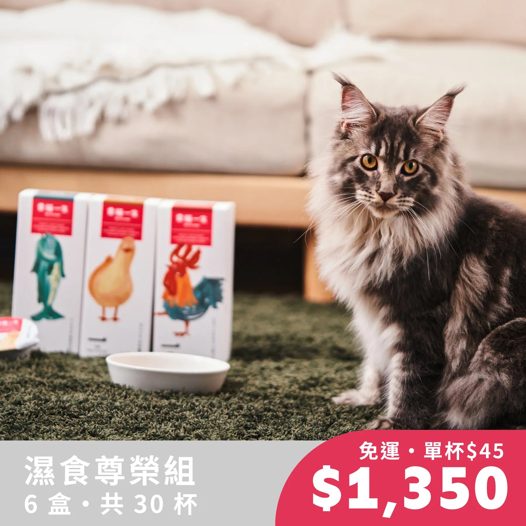 愛貓一生｜天然食材濕食（濕食尊榮組｜6 盒 30 杯）