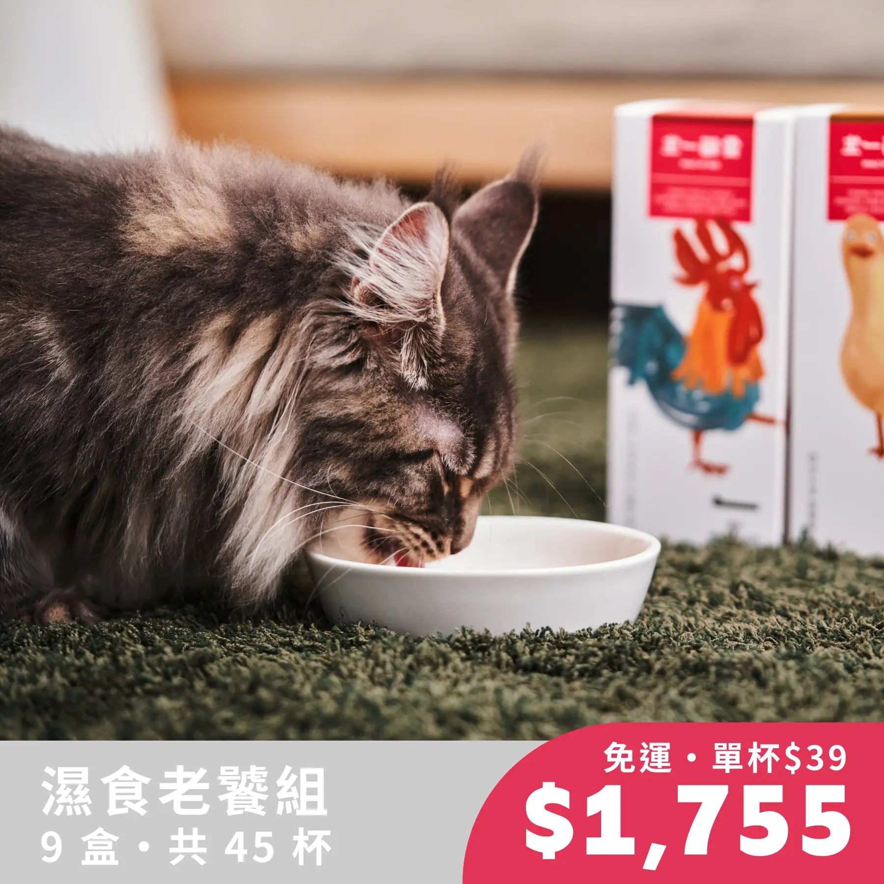 愛貓一生｜天然食材濕食（濕食老饕組｜9 盒 45 杯）